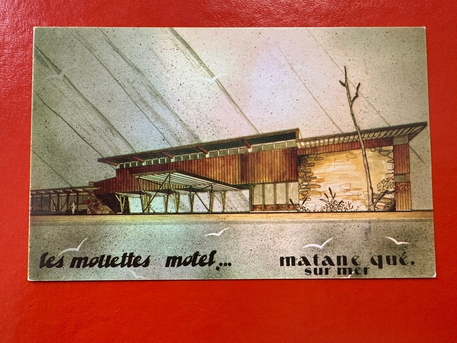 Vintage UNPOSTED Postcard~QUEBEC CANADA~LES MOLLETTES MOTEL ~ MATANE SUR MER