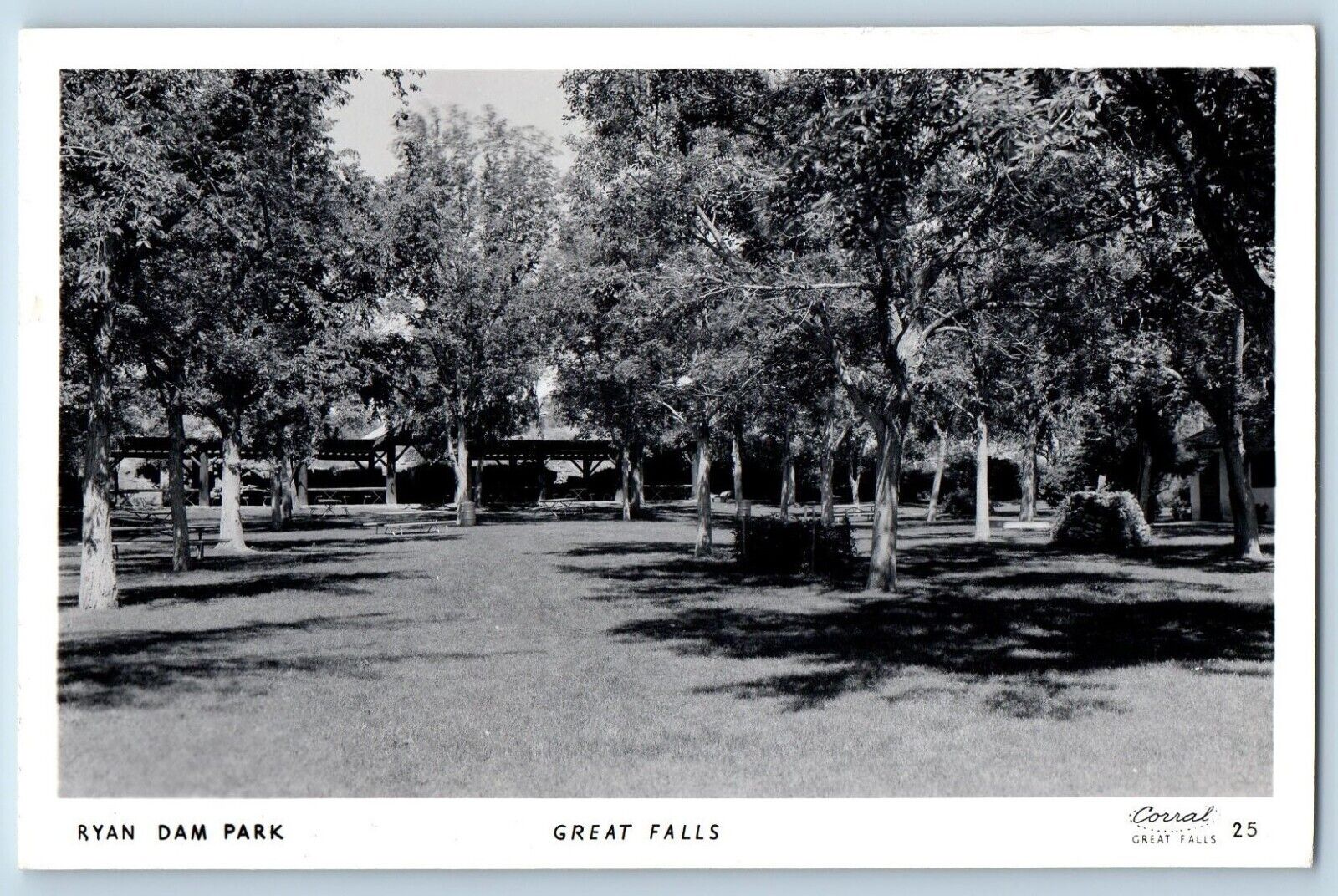 Great Falls Montana MT Postcard RPPC Photo Ryan Dam Park View c1940's Vintage