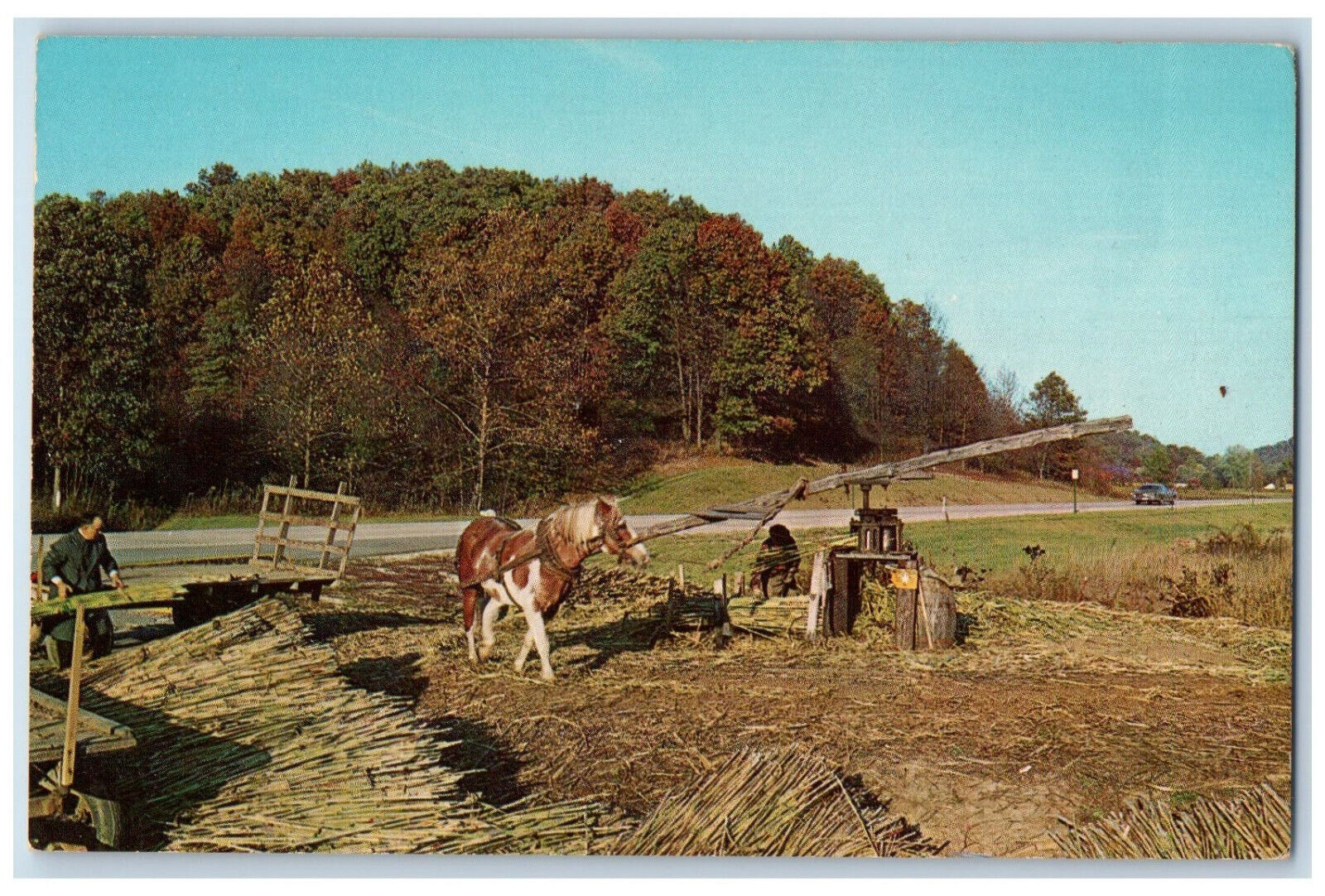 c1950\'s Horse White\'s Sorghum Mill Brown County Indiana IN Vintage Postcard