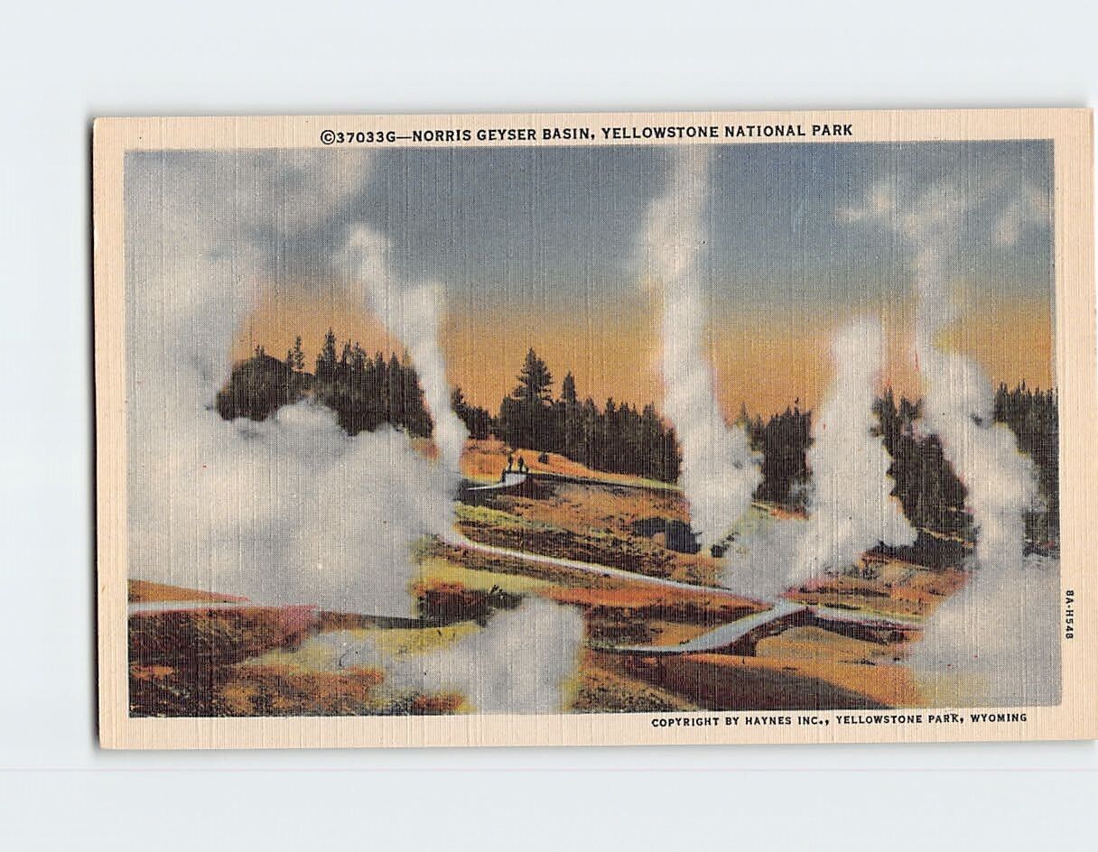 Postcard Norris Geyser Basin Yellowstone National Park Wyoming USA