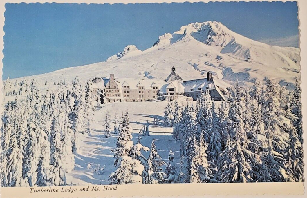 Mt Hood & Timber Line Lodge~Sentinel Peak~Oregon~Plastichrome~Vintage Postcard