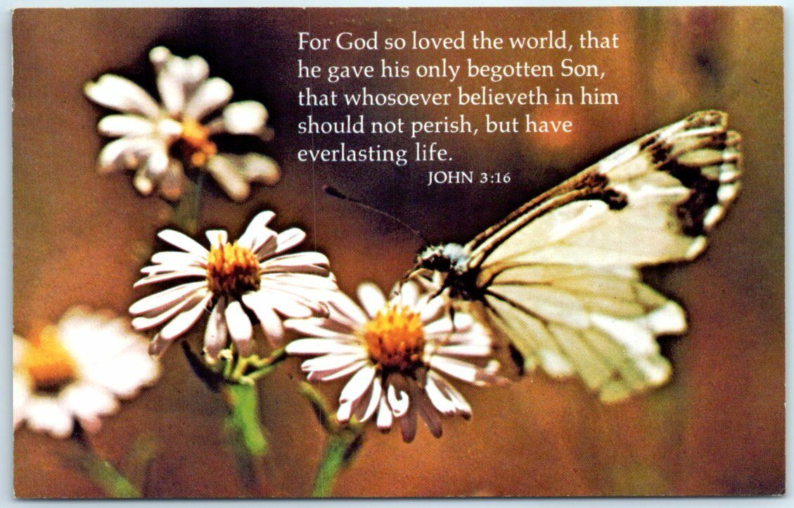 Postcard - John 3:16