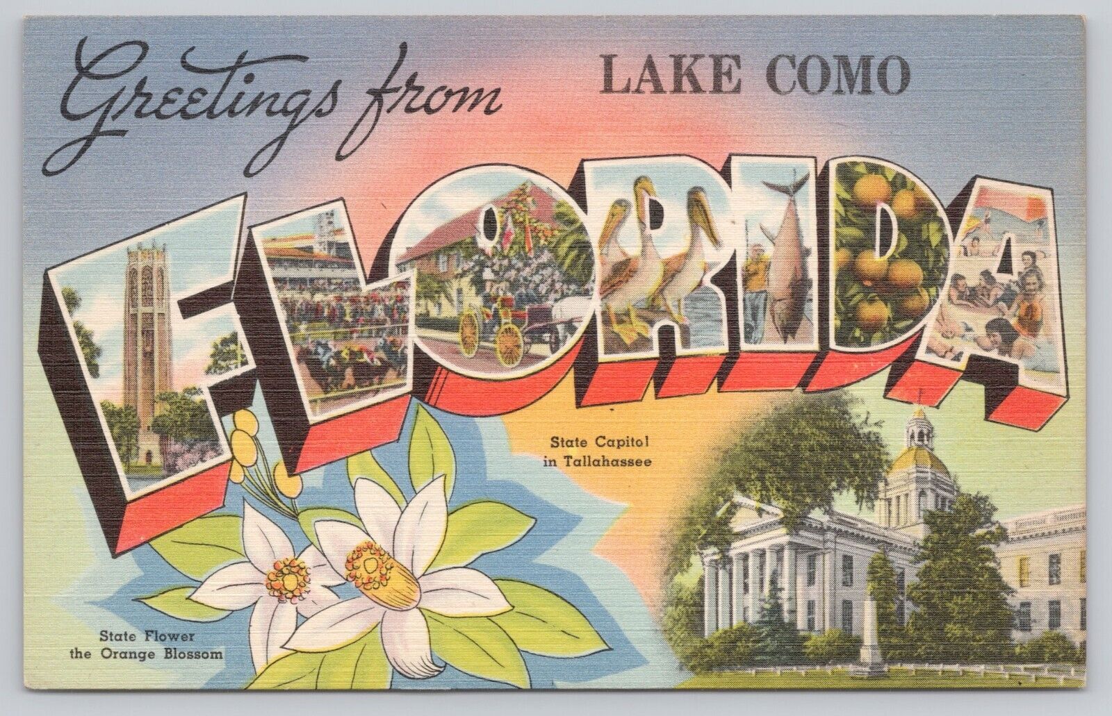 Lake Como Florida, Large Letter Greetings RARE, Vintage Postcard