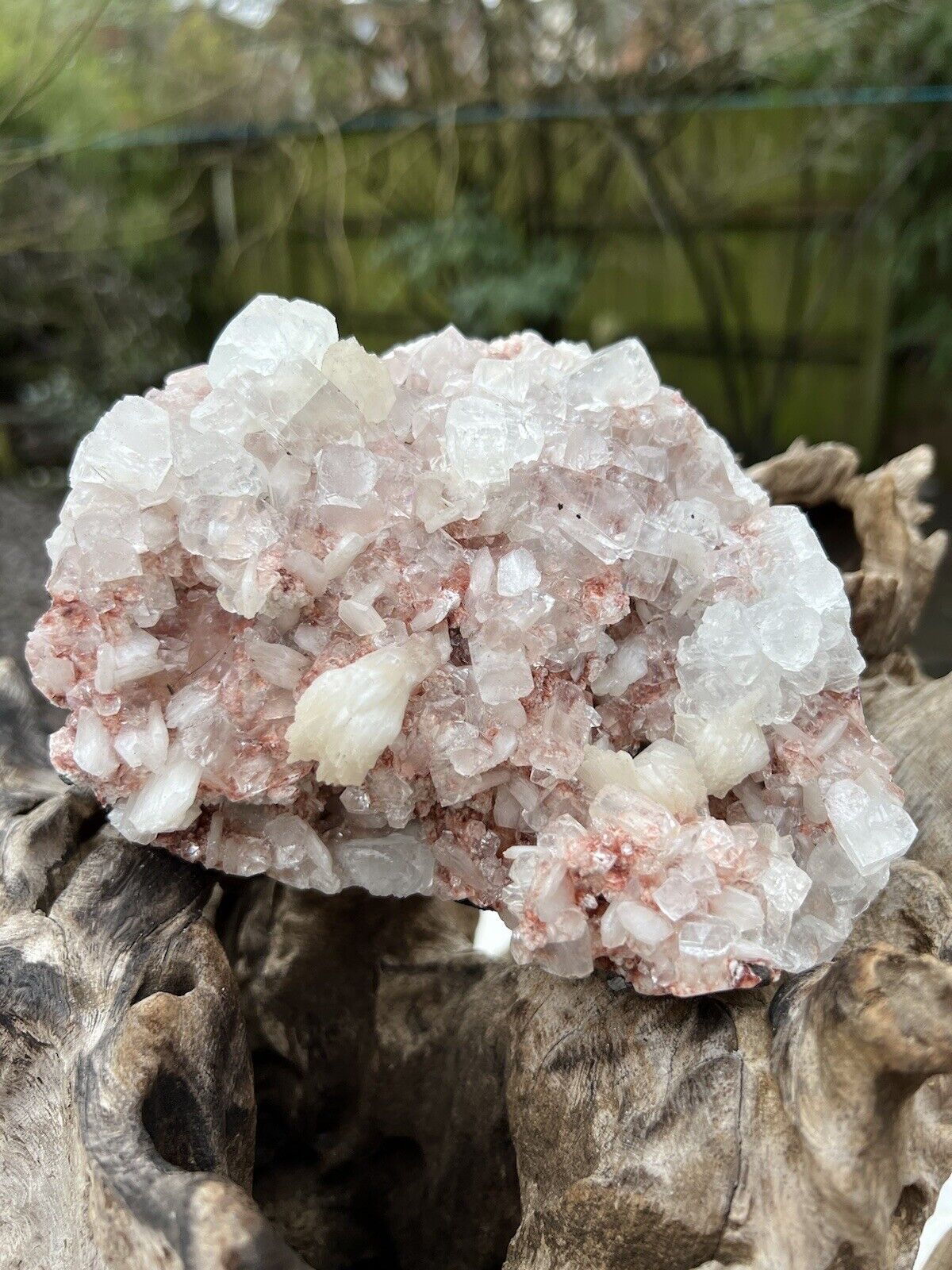 Pink Stillbite And Heulandite Cluster With White Apophyllite Large AAA+ 932g 50