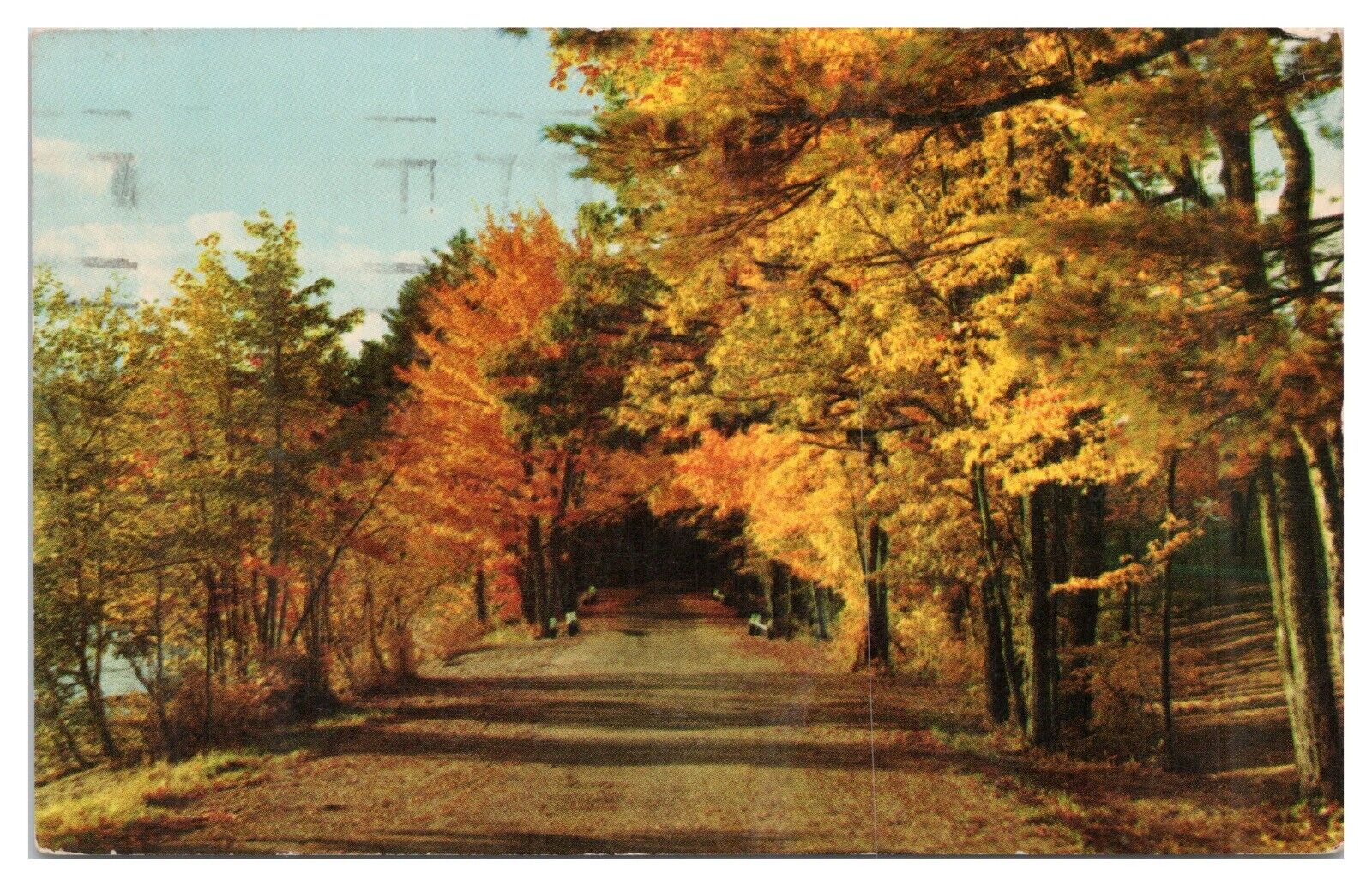 Vintage Beautiful Highway Scenery NY State Postcard c1957 Chrome