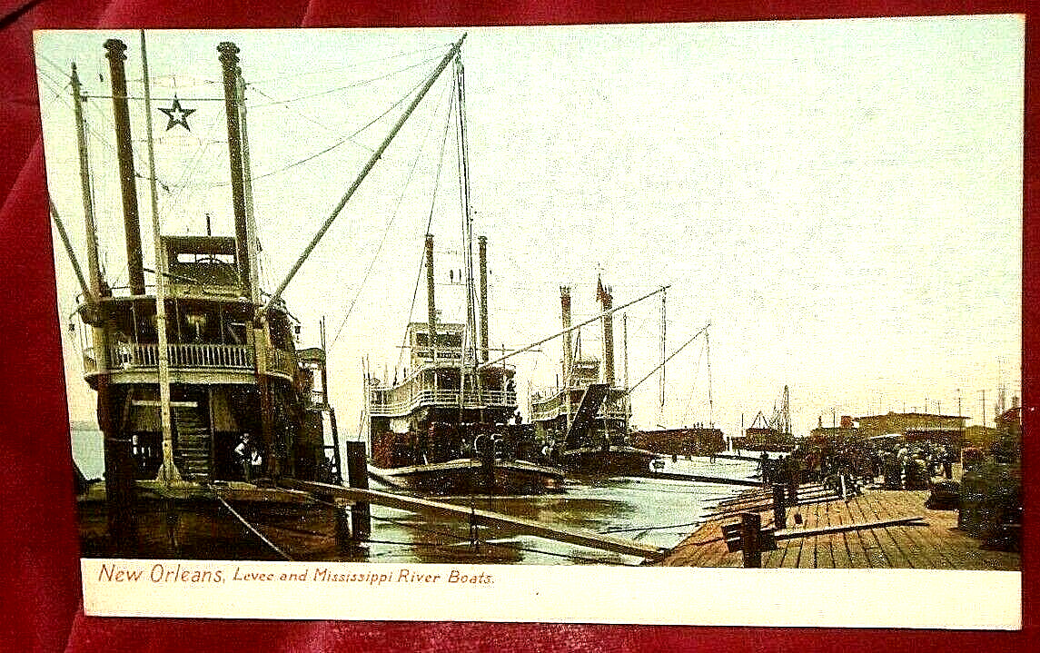 Levee Mississippi River Boats 1906 Postcard New Orleans La UDB 