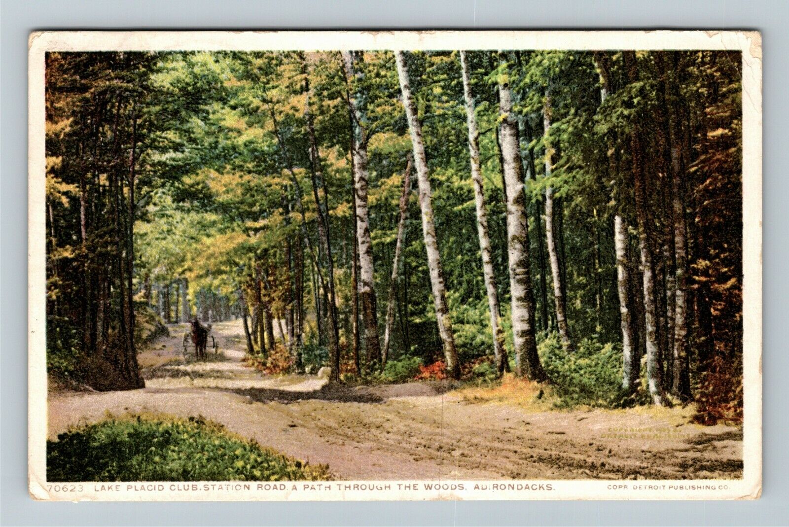 Lake Placid New York CLUB STATION ROAD Path Through Woods c1916 Vintage Postcard
