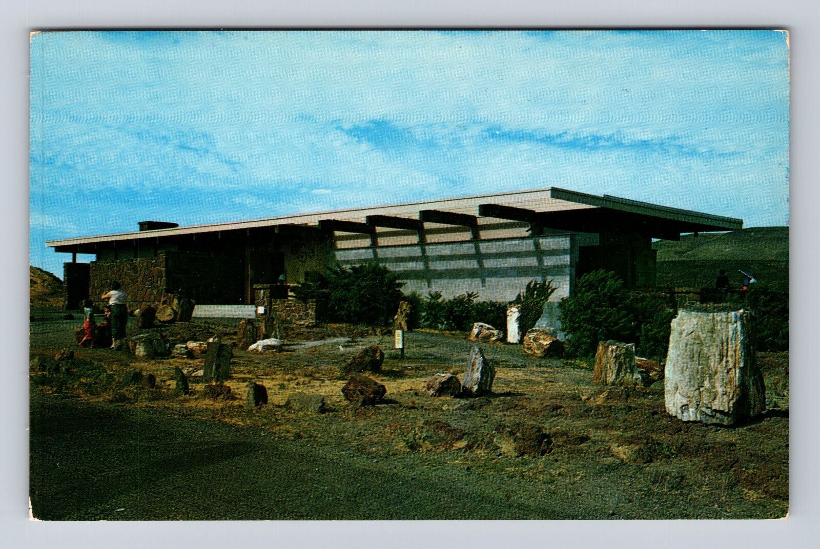 Vantage WA-Washington, Ginkgo Petrified Forest Museum, Vintage Souvenir Postcard