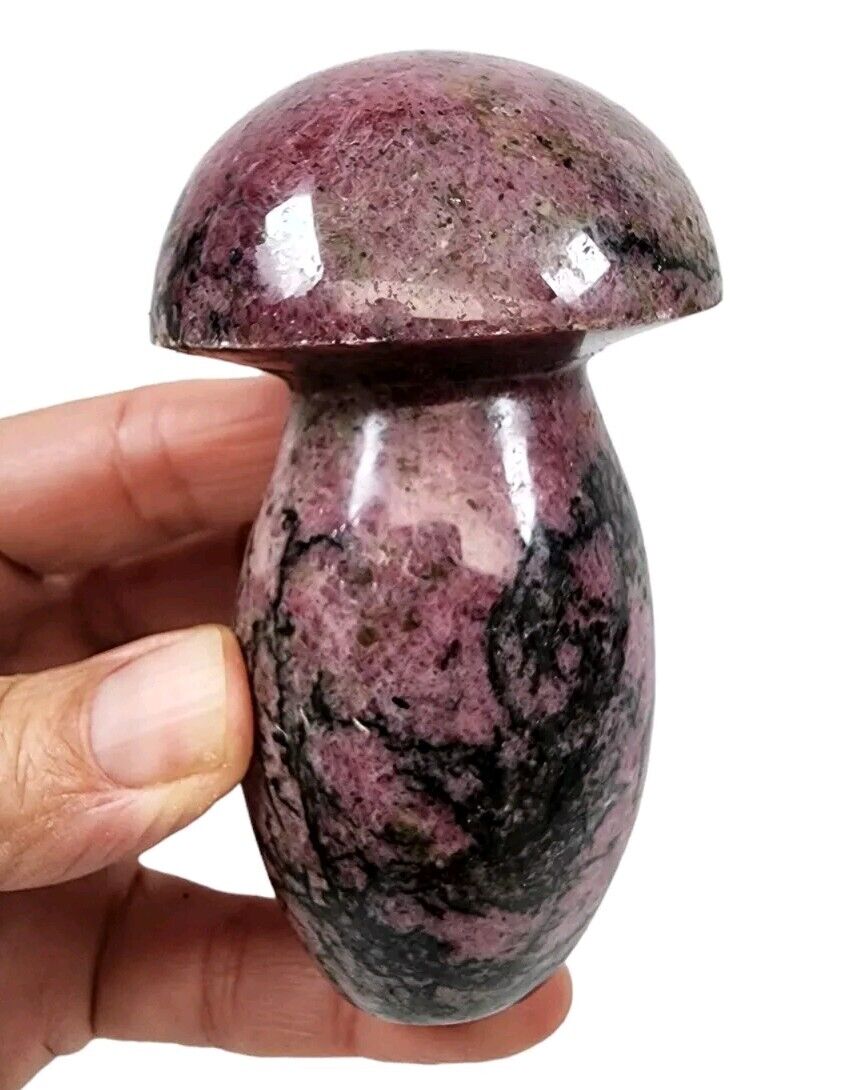 Rhodonite Crystal Polished Mushroom Stone 310 grams.