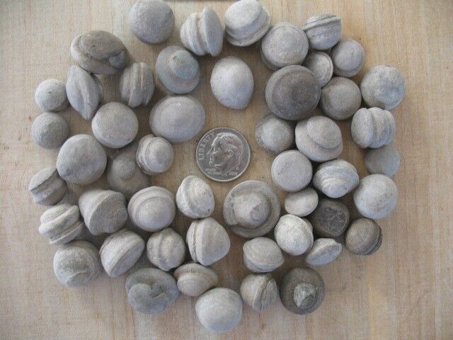 LOT OF 50 CLAY CONCRETION MARBLES Fairy Wishing Stones NY Self Mined 147 Grams