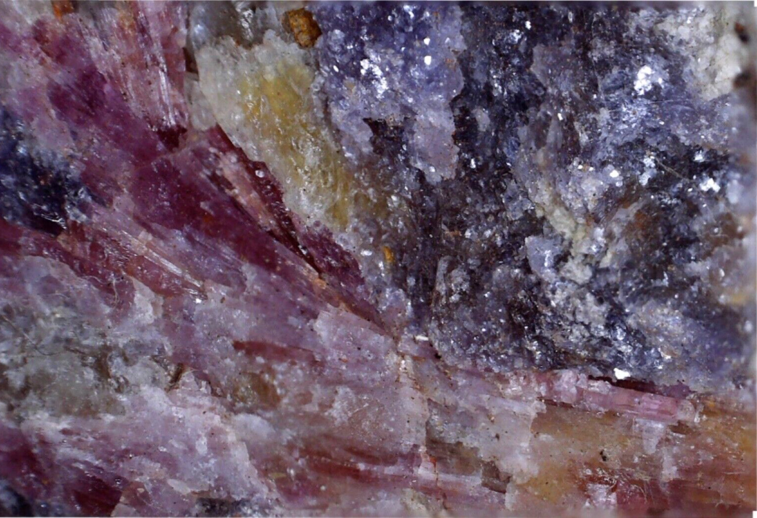 West Australian Morganite, Lepidolite & Cleavelandite - Specimen - Mount Holland