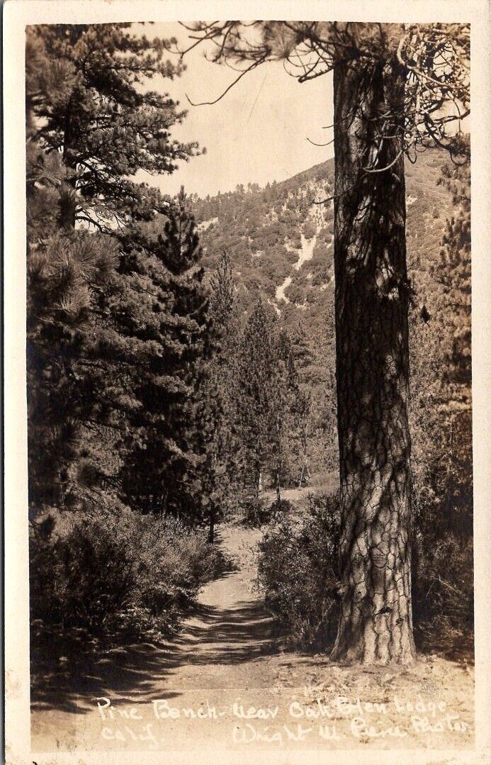 C6 Postcard RPPC Pine Bench Near Oak Glen Lodge Wright Pierce Photos 1929