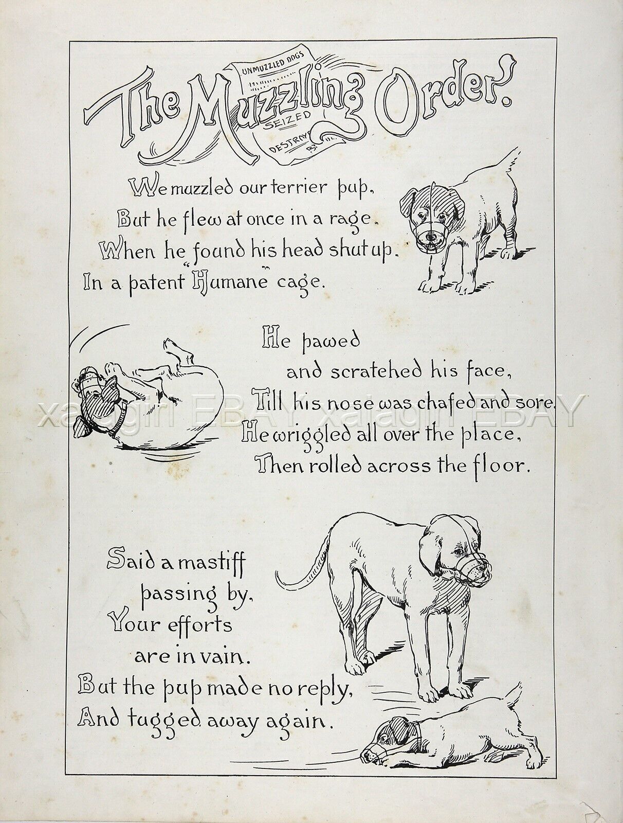 Dog Mastiff & Fox Terrier Comic Poem About Muzzling, Two 1890s Antique Prints