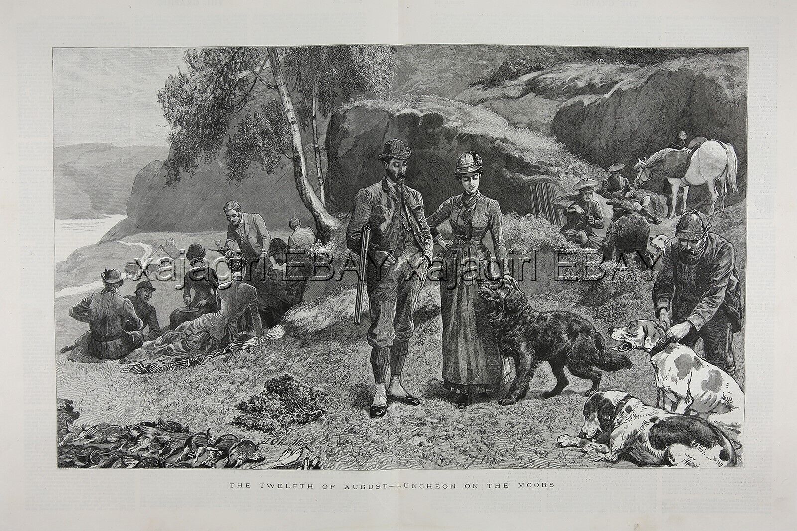 DOG Flat-Coated Retriever Hunting Glorious Twelfth, Huge 1880s Antique Print