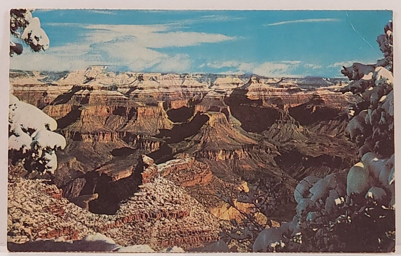 Postcard Grand Canyon National Park, Arizona, Snow on Pine Trees Vintage