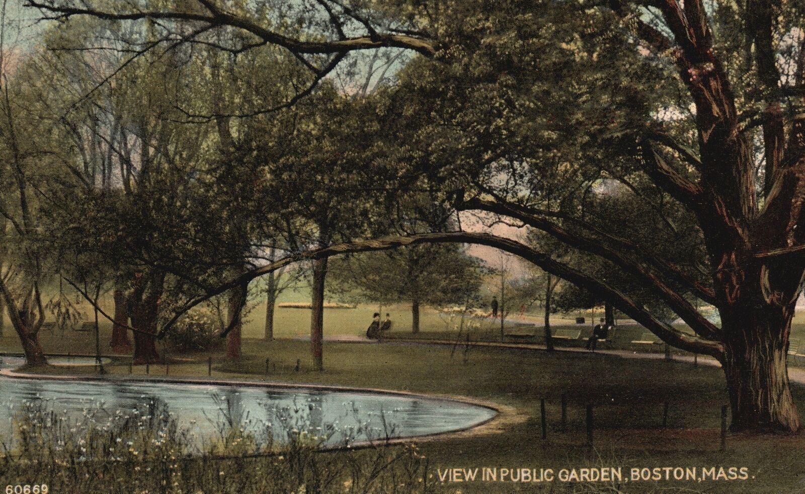 Vintage Postcard 1912 View in Public Gardens Trees Lake Boston Massachusetts MA