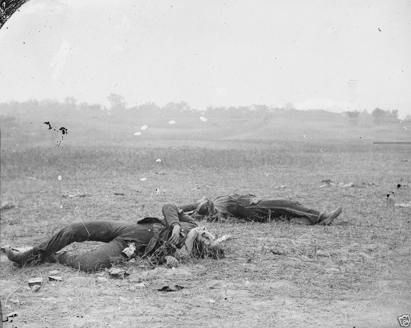 Dead Confederate soldiers near Burnside Bridge Antietam 8x10 US Civil War Photo