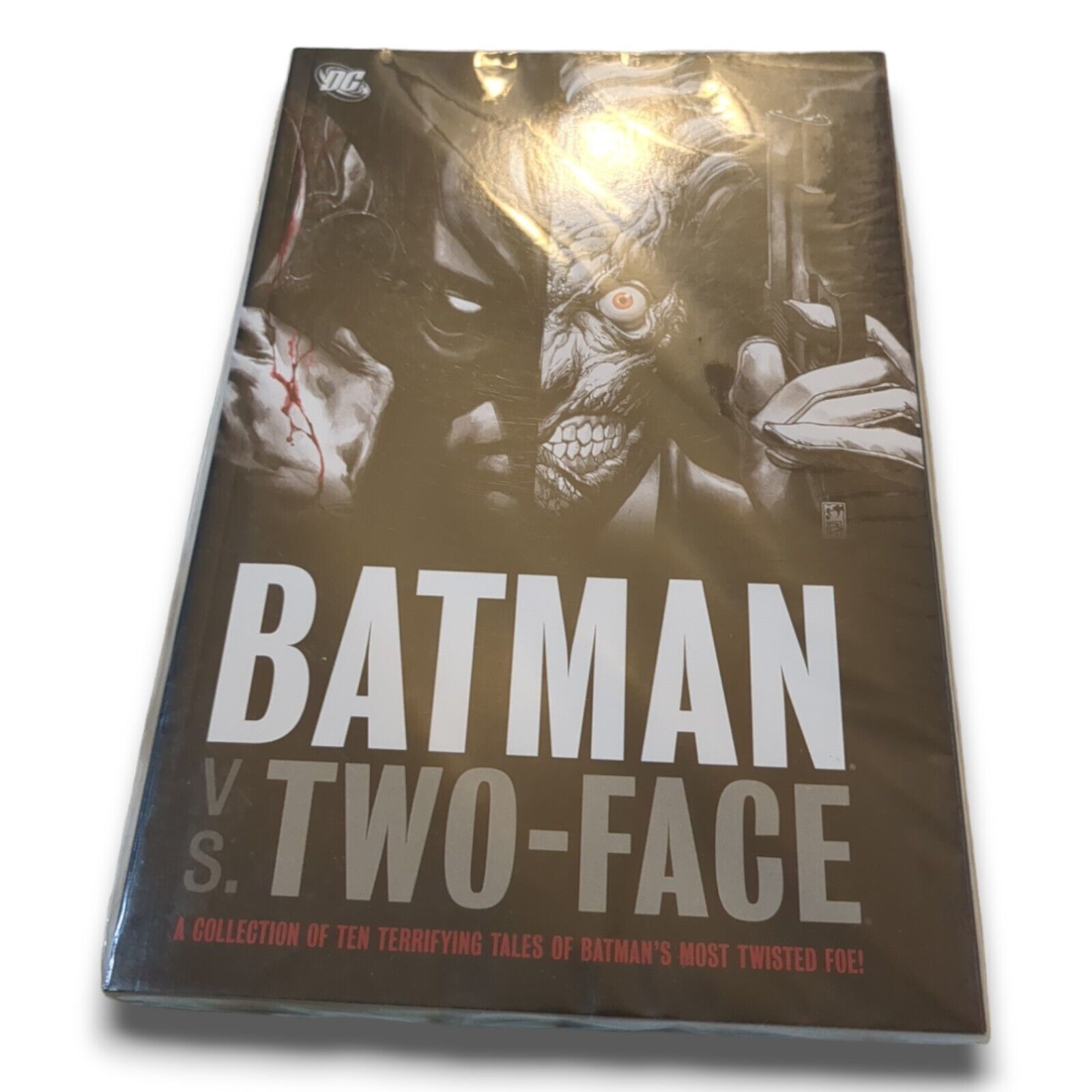 Batman vs. Two-Face (DC Comics, July 2008)