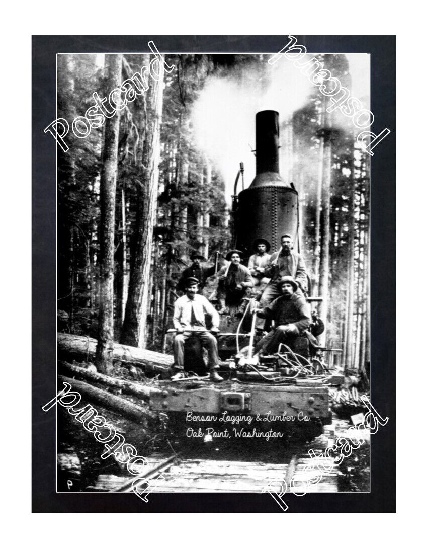 Historic Benson Logging & Lumber Co. Oak Point, Washington steam donkey Postcard