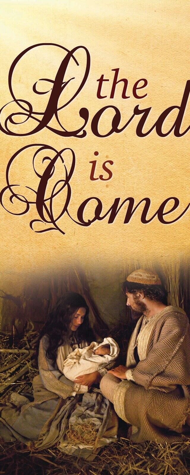 Christmas Banner - The Lord is come 