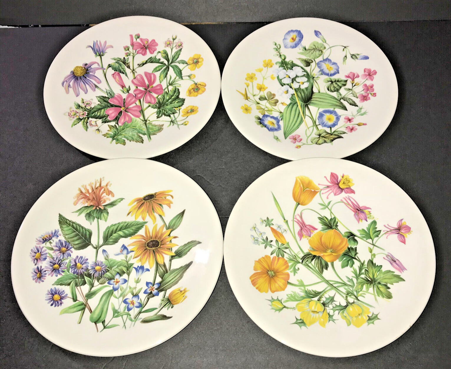 Lot of 4 Wedgwood Wildflowers of the United States Collectors Plates 9\