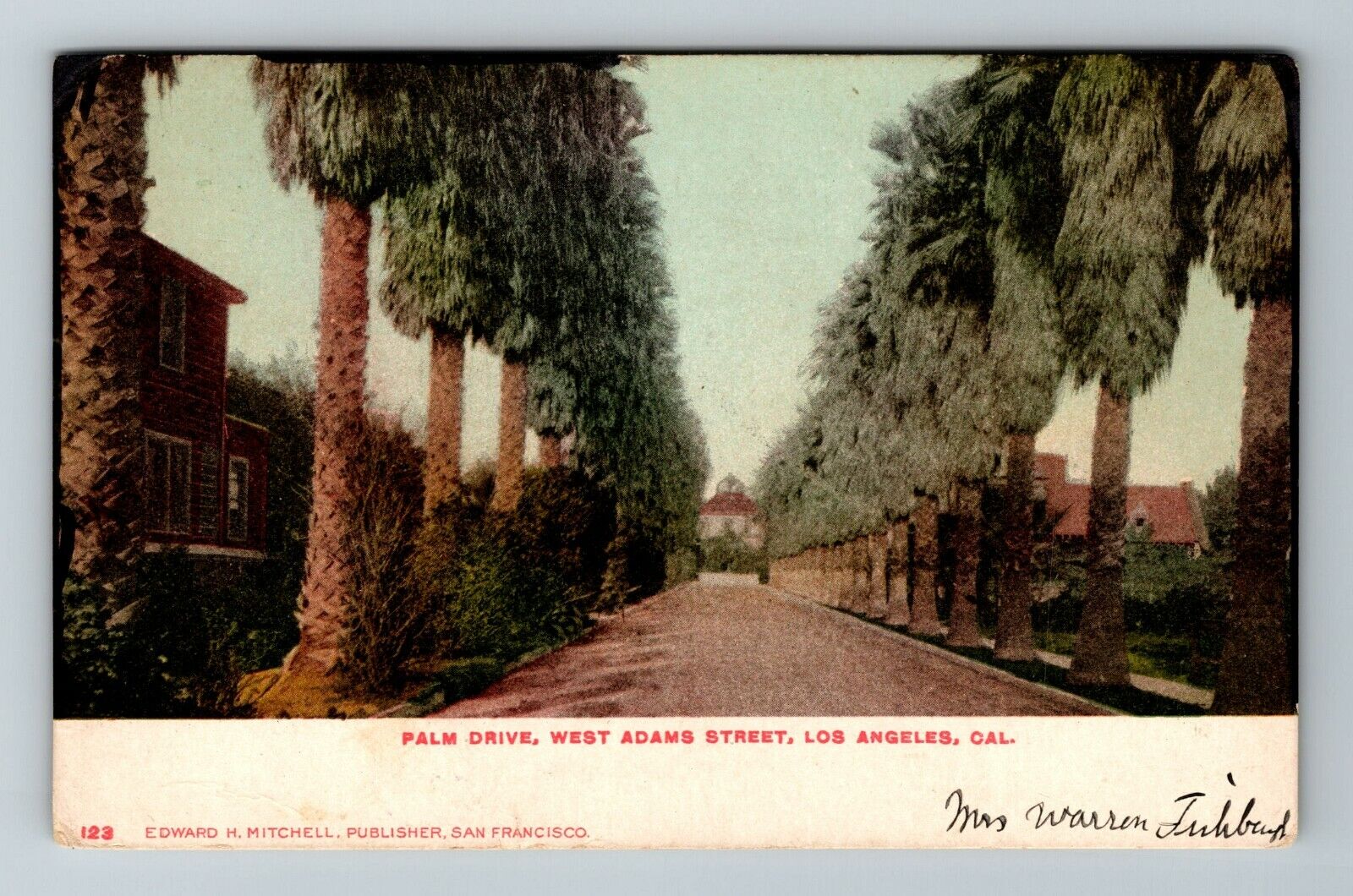 Los Angeles CA-California, Palm Drive, West Adams Street, Vintage Postcard