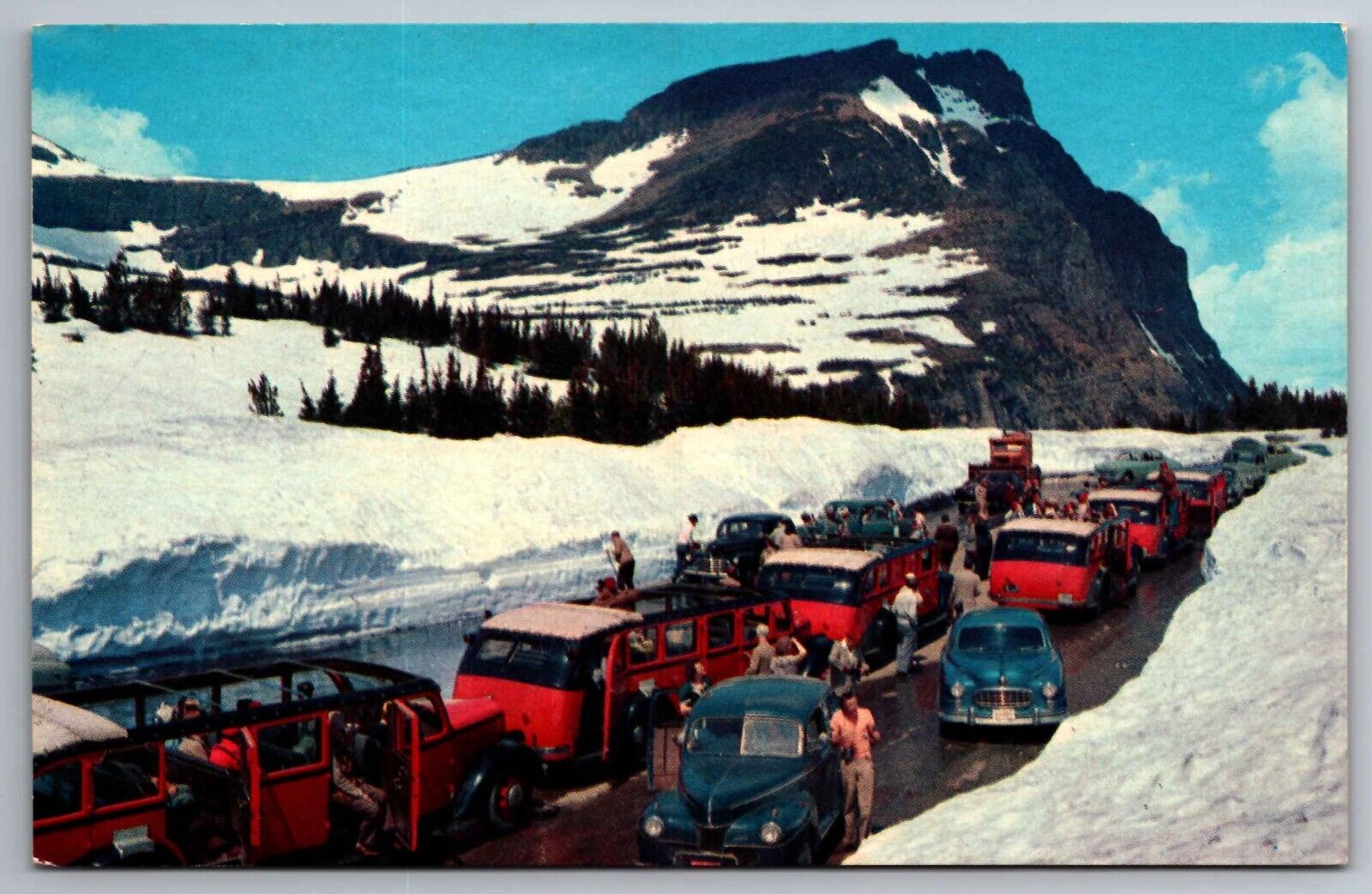 Postcard Logan Pass\'s Glacier National Park Montana Unposted   F13