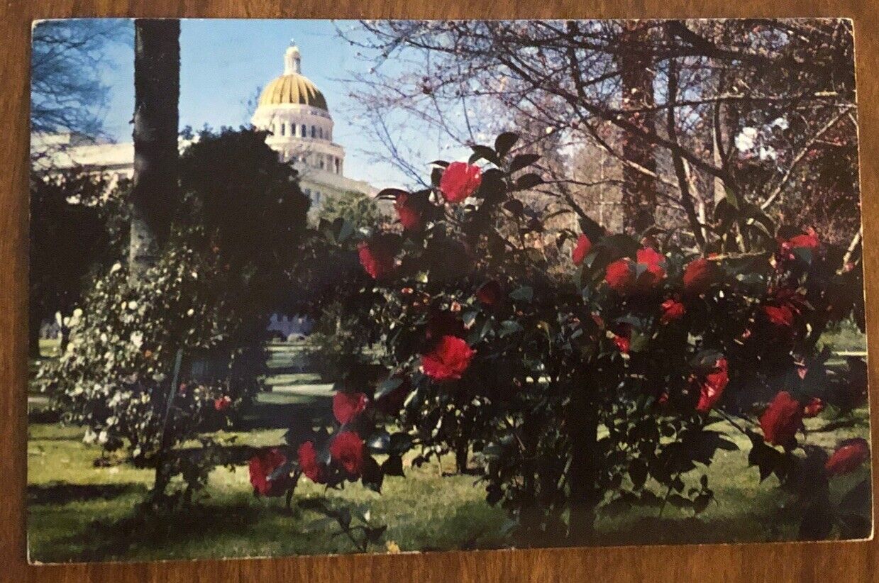 Postcard PM 1959 State Capitol Park Camellia Capital of the World Sacramento CA