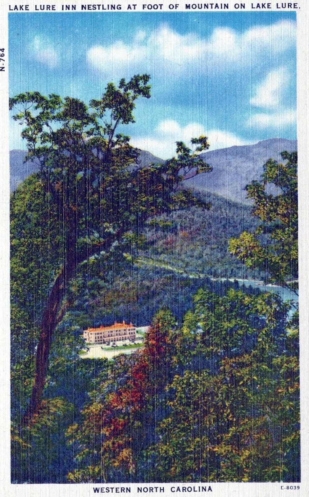Western North Carolina Lake Lure Inn Foot Of Mountain Linen Vintage Postcard