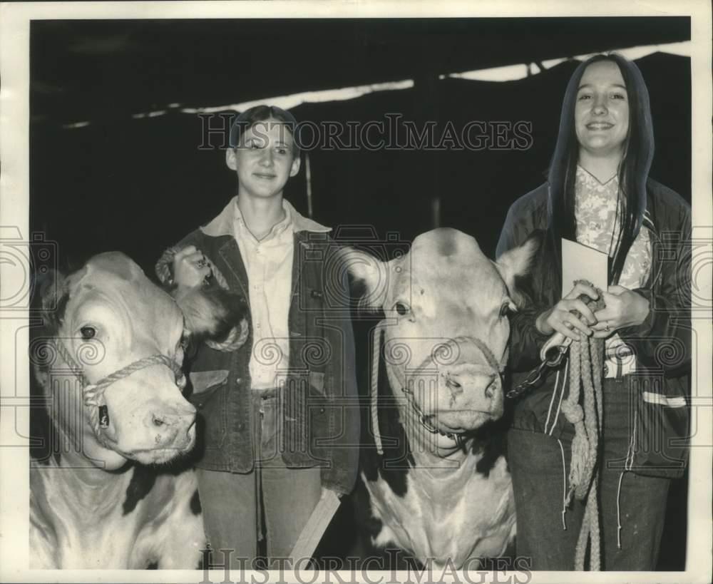 1971 Press Photo 4-H Club Members with Steers at Junior Livestock Show
