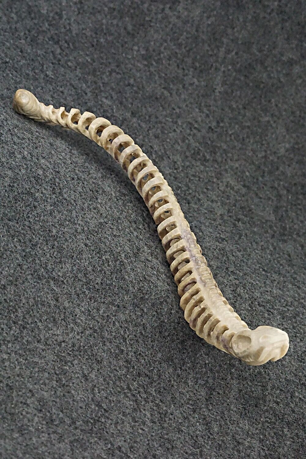 Rattlesnake Skeleton Zuni Fetish Carving - Maxx Laate