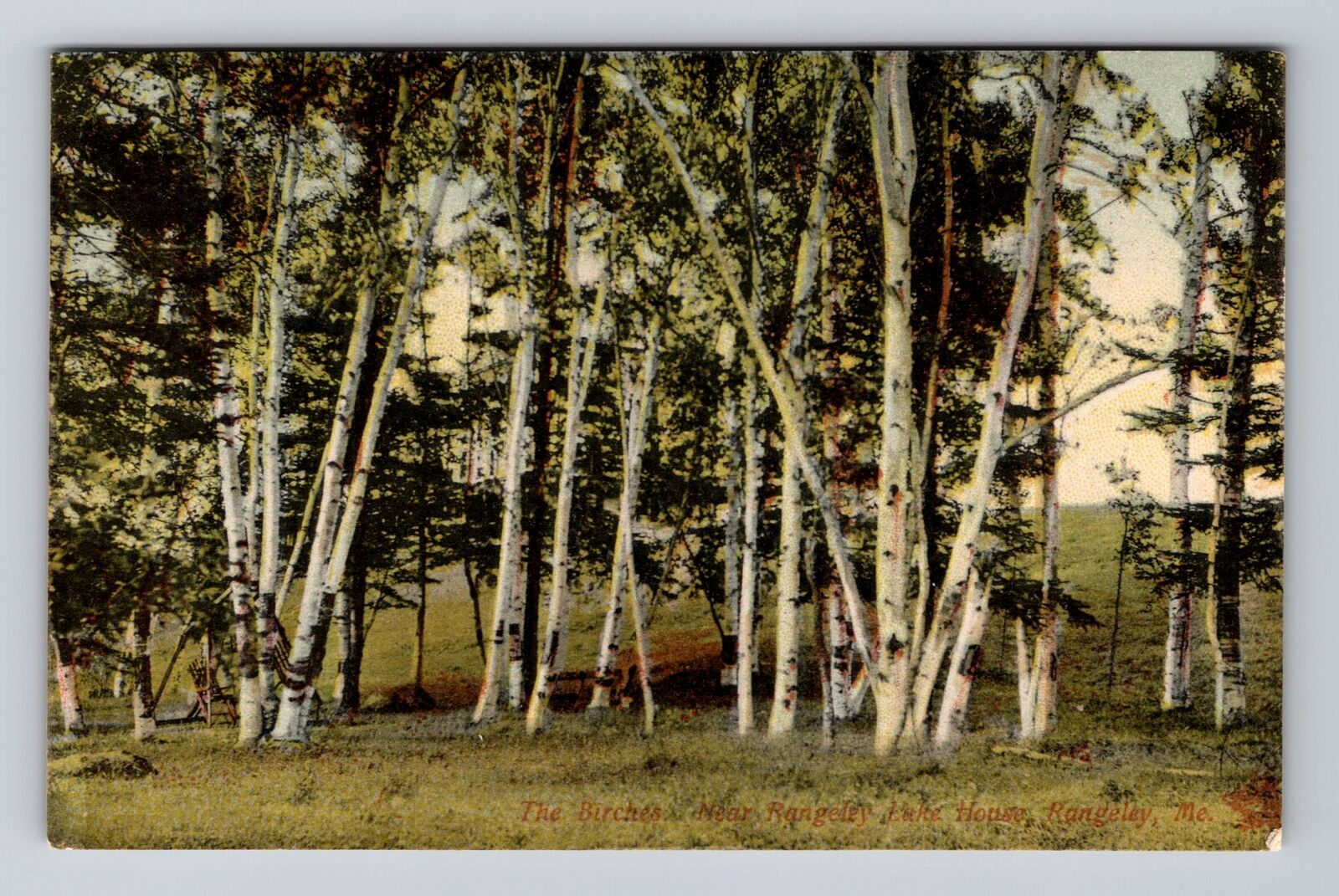 Rangeley ME-Maine, Lake House, Birches Near Rangeley Antique Vintage Postcard