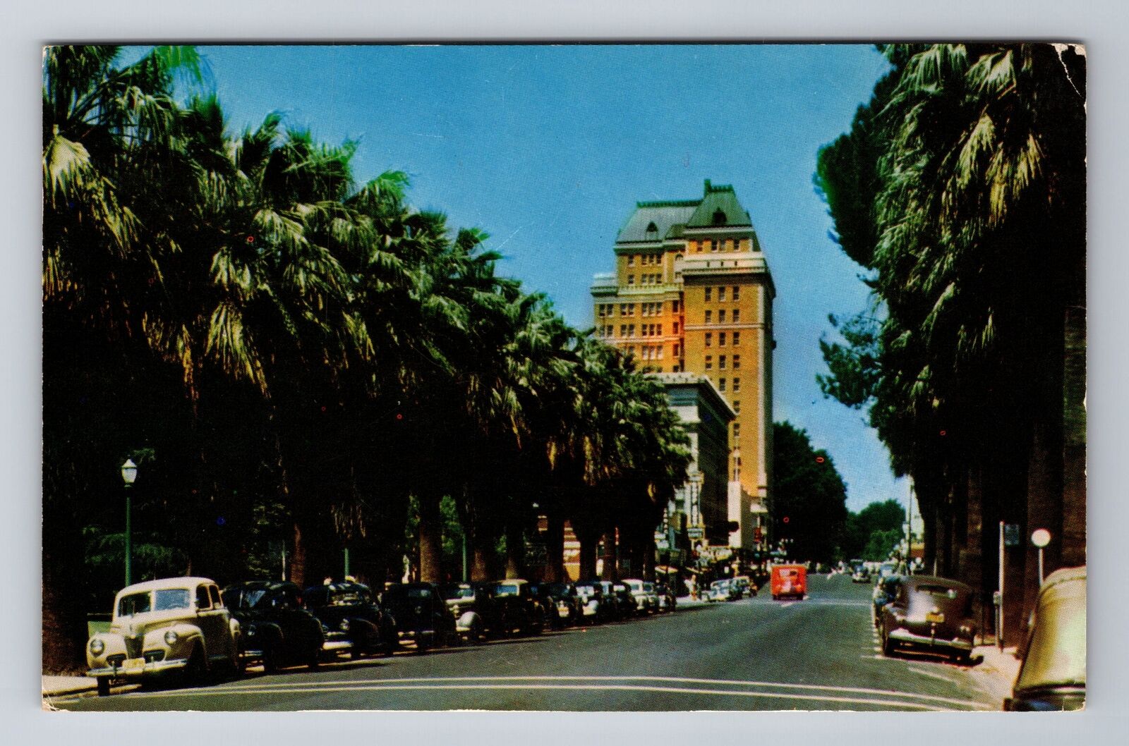 Sacramento CA-California, Palm Lined Street, c1956 Antique Vintage Postcard