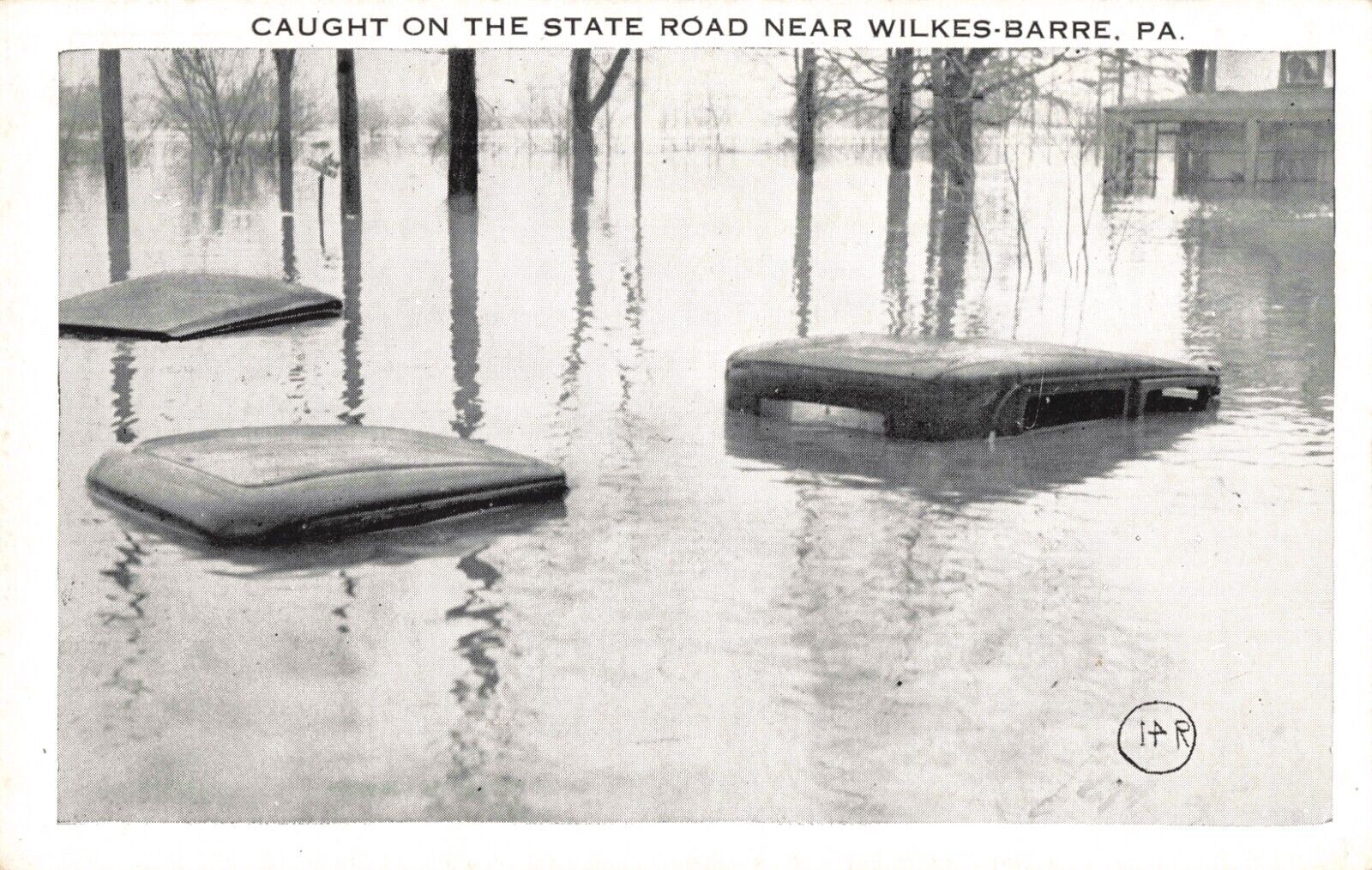Submerged Auto's Flood on State Road Near Wilkes Barre PA c.1920's Postcard A496