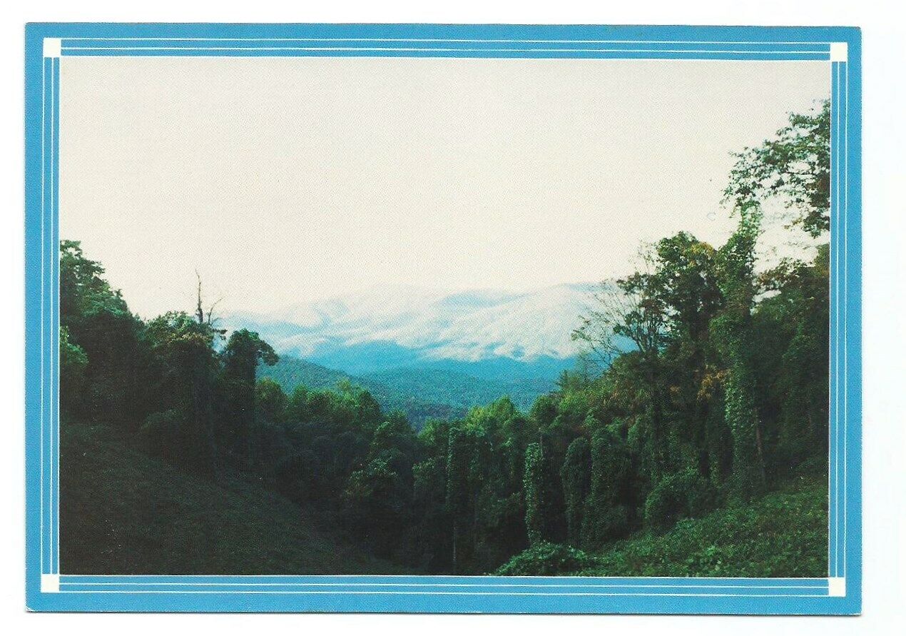 Grassy Mountain GA Postcard Georgia Murray County Vintage