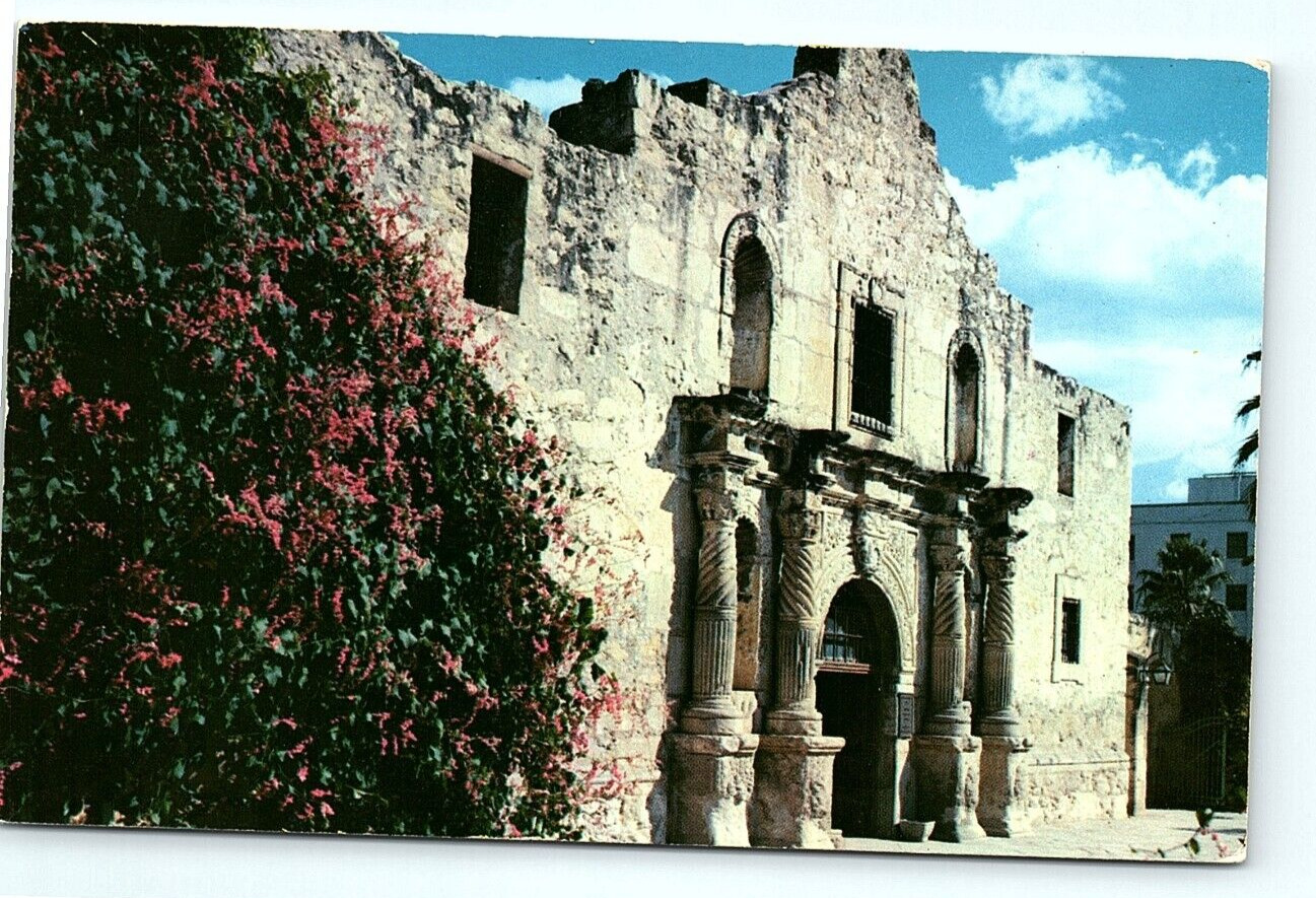 postcard The Alamo San Antonio Texas 1448