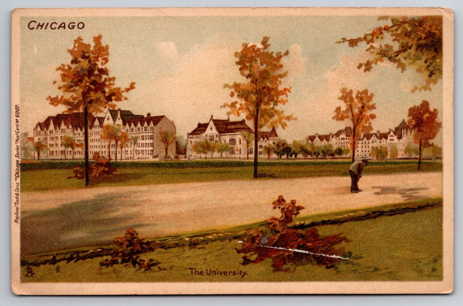 The University Chicago Illinois IL Raphael Tuck Chicago Series c1900s Postcard
