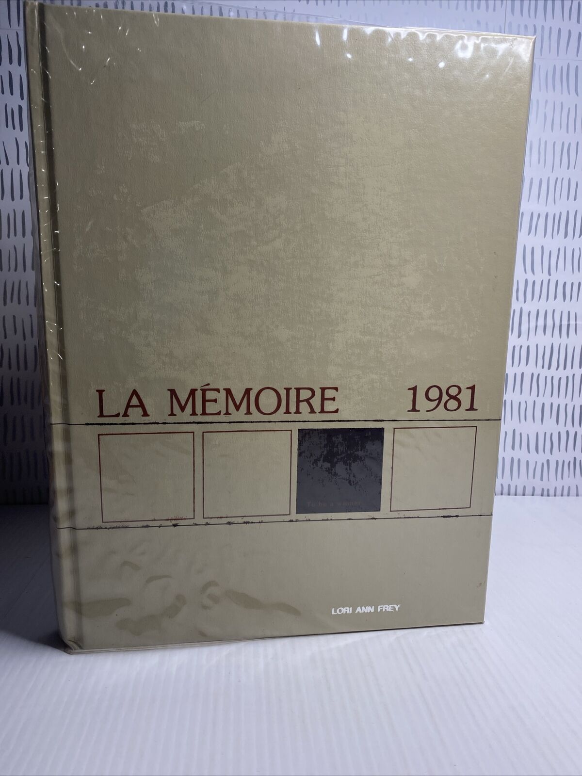 1981 La Memoire Williamsport Area High School Pennsylvania Yearbook