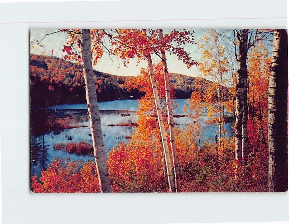 Postcard Beautiful Autumn Nature Scene