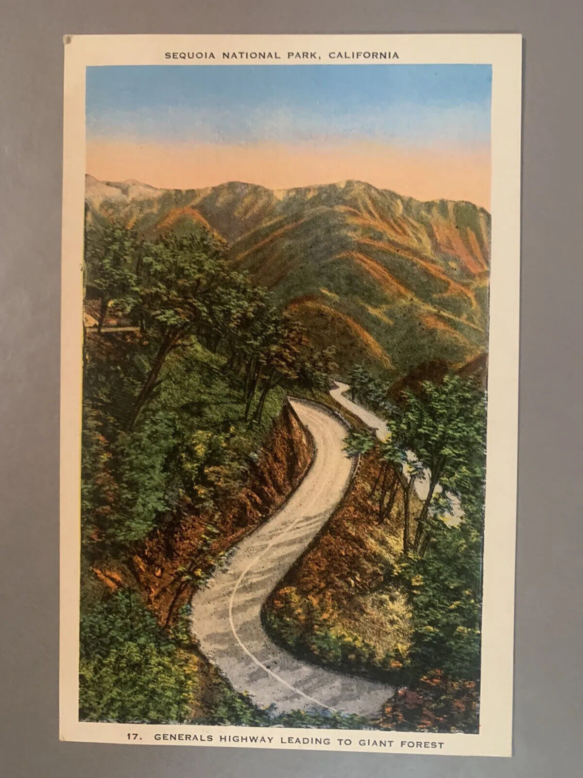 Vintage 1930s-1940s Generals Highway Sequoia National Park California Postcard