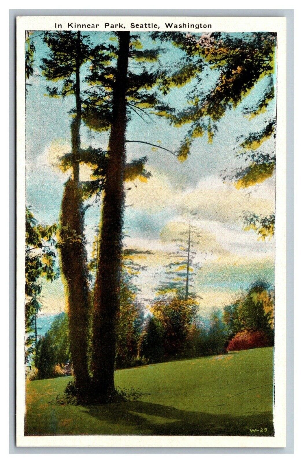 Seattle, WA, Washington, In Kinnear Park,  White Border Postcard 