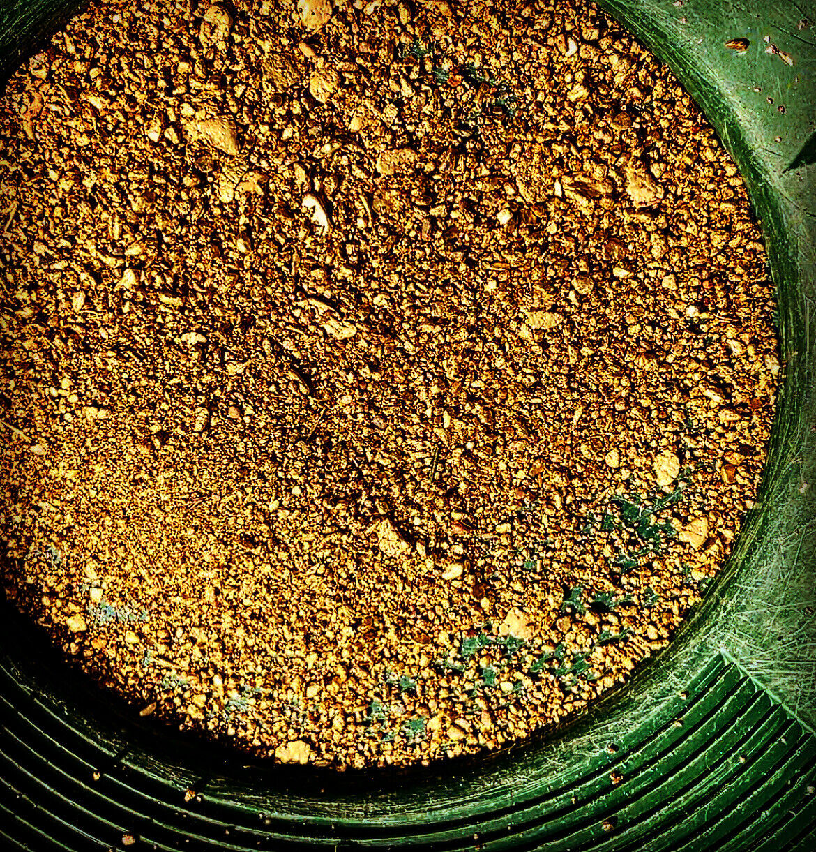GOLD Paydirt Unsearched Gold Guaranteed Added Gold High Quality Rich Concentrate