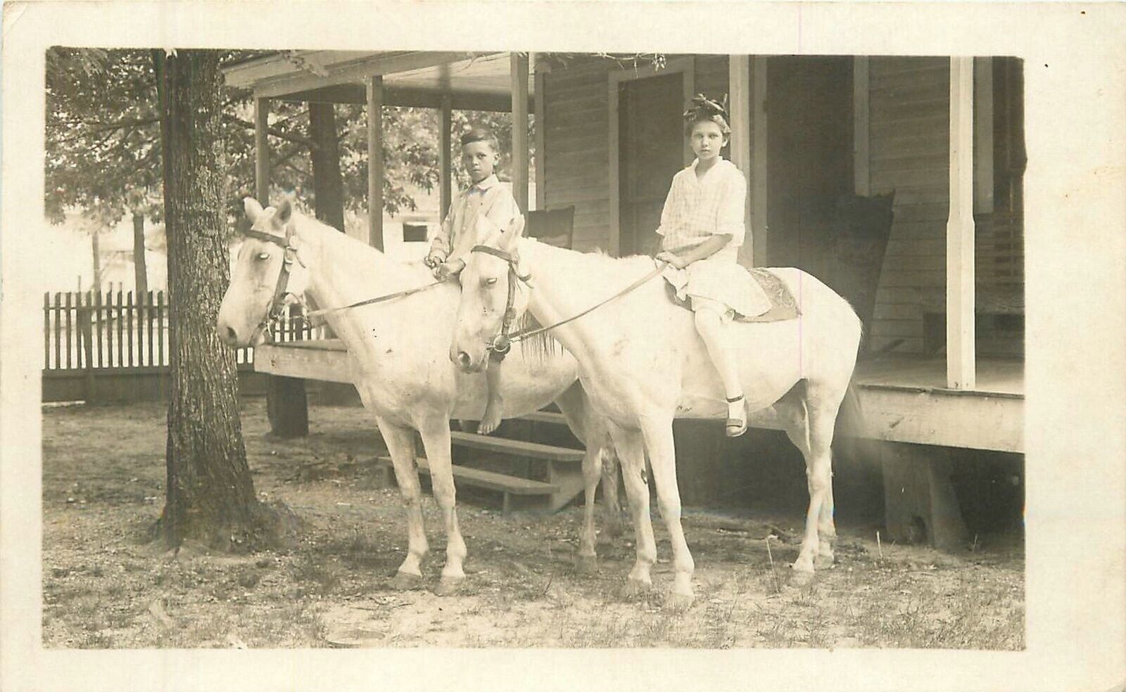 Postcard RPPC C-1910 Children White horses 23-1978