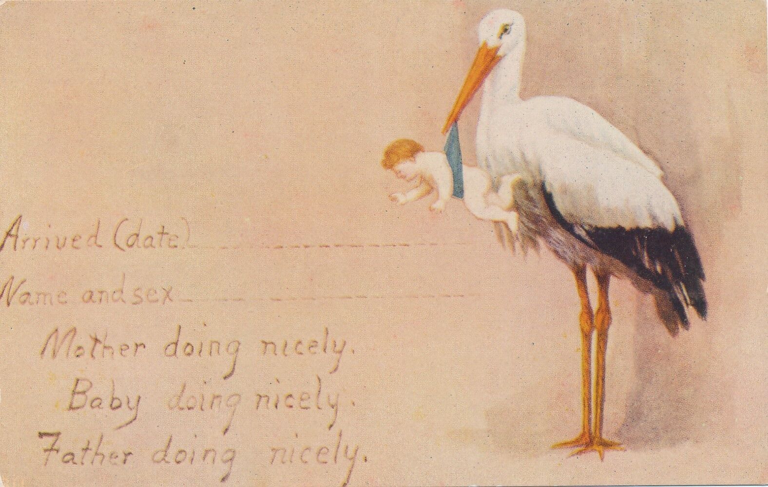 Stork and Everyone Doing Nicely Birth Announcement Postcard