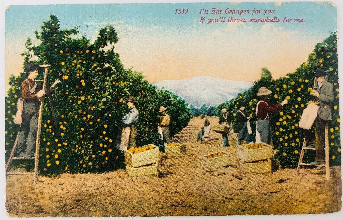 Vtg I'll Eat Oranges for You If You Throw Snowballs 1913 Orchard Mountains