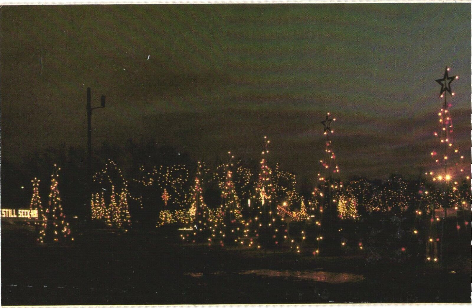 Night Scene, Christmas At La Salette Shrine, Attleboro, Massachusetts Postcard