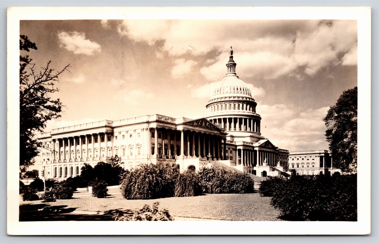 RPPC~US Capitol From Park Washington DC~Real Photo Postcard