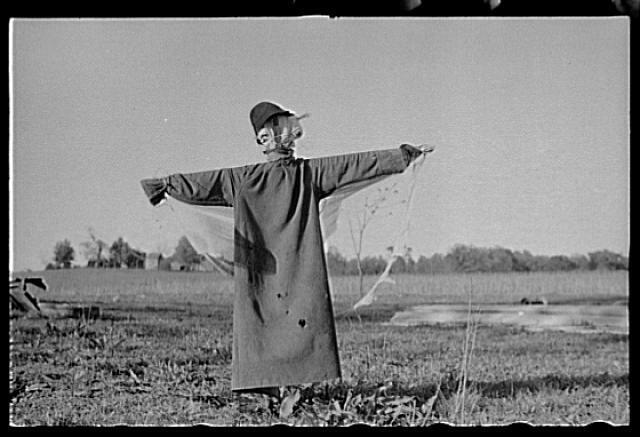 Scarecrow,North Carolina,NC,Farm Life,April 1938,John Vachon,FSA,Rural