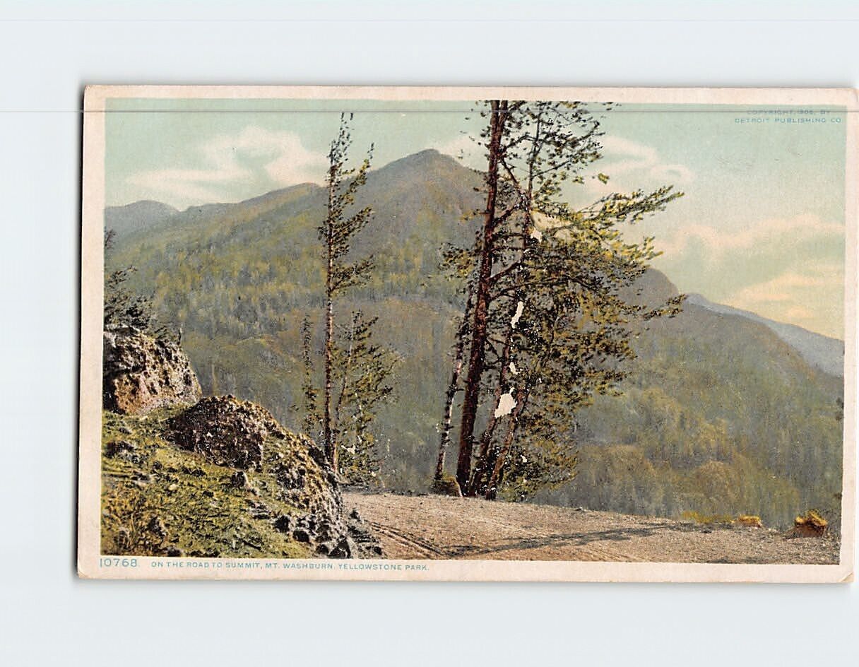 Postcard On the Road to Summit Mt. Washington Yellowstone Park USA
