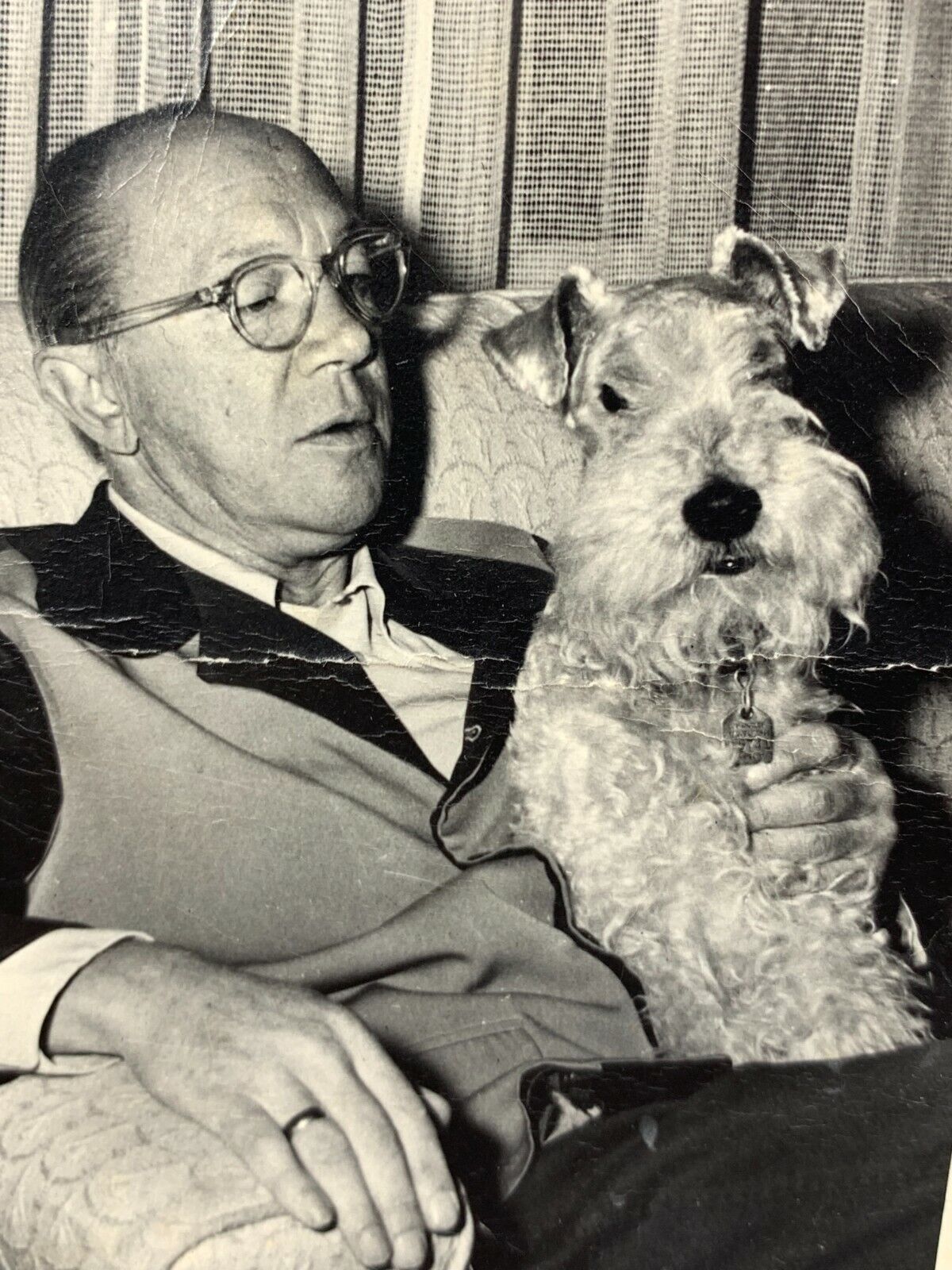 AgD) Found Photo Photograph Man Holding Handsome Schnauzer Dog *Creased*